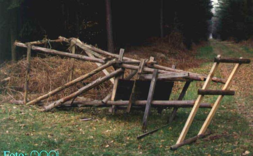 Jagdstörungsbericht aus der Nähe Osnabrücks